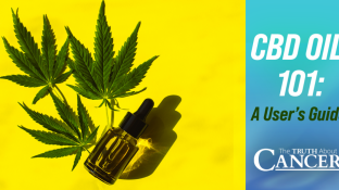 CBD Oil 101: A User’s Guide CBD Oil 101: A User’s Guide