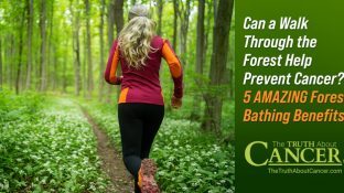 Can a Walk Through the Forest Help Prevent Cancer? 5 AMAZING Forest Bathing Benefits!