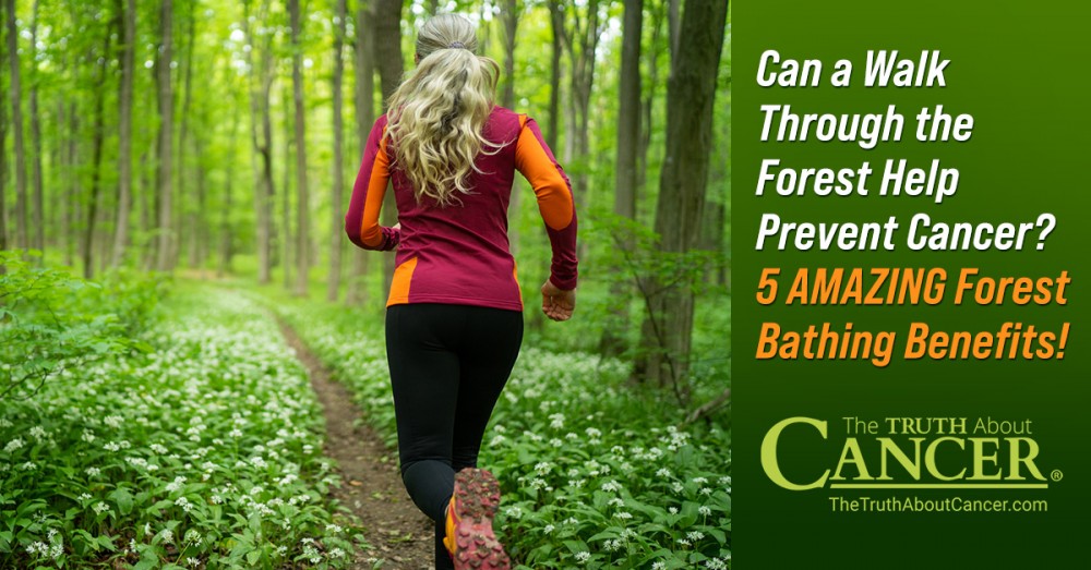 Can a Walk Through the Forest Help Prevent Cancer? 5 AMAZING Forest Bathing Benefits!