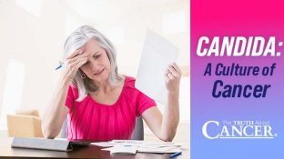 Candida: A Culture of Cancer