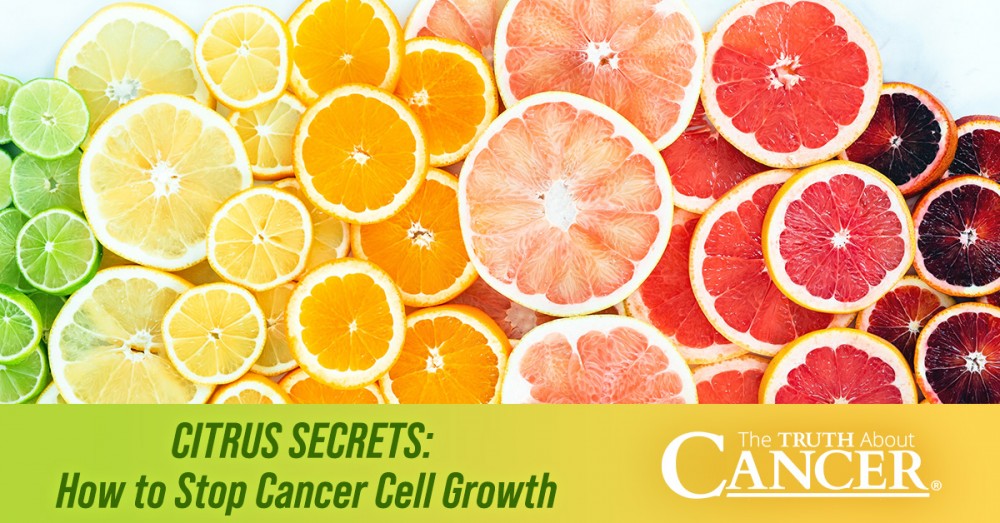 Citrus Secrets: How to Stop Cancer Cell Growth