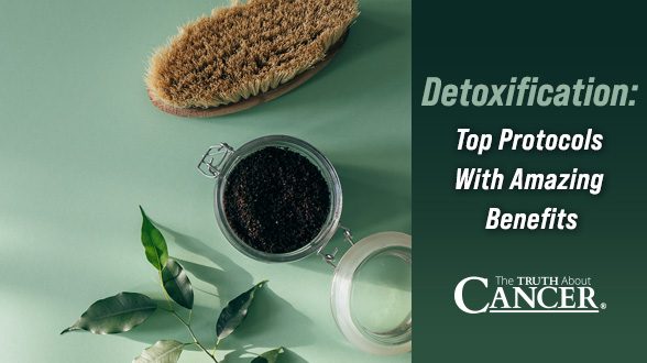 Detoxification: Top Protocols with Amazing Benefits