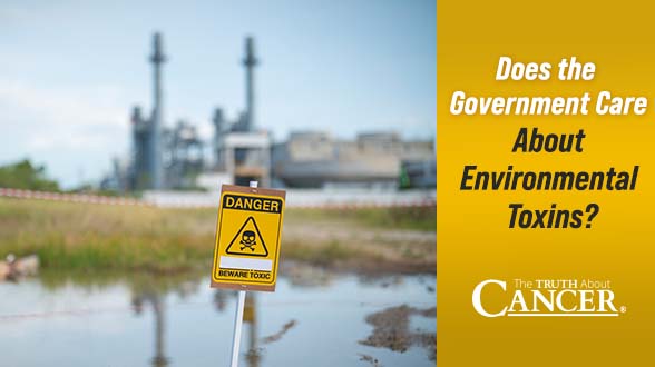 Does the Government Care About Environmental Toxins?