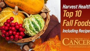 Harvest Health: Top 10 Fall Foods Including Recipes