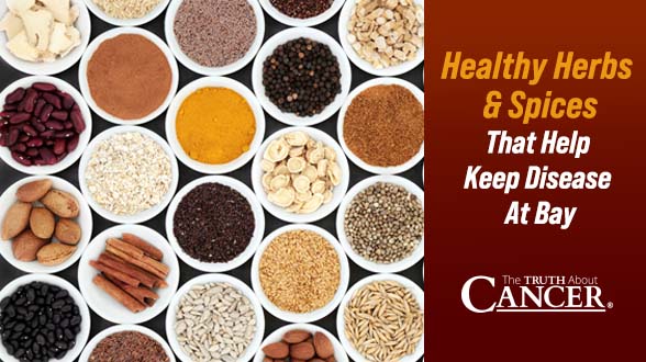11 Healthy Herbs & Spices That Help Keep Disease At Bay