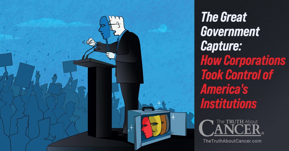 The Great Government Capture: How Corporations Took Control of America's Institutions