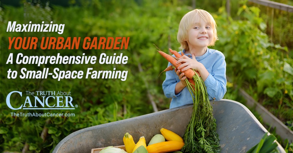 Maximizing Your Urban Garden: A Comprehensive Guide to Small-Space Farming