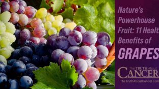 Nature's Powerhouse Fruit: 11 Health Benefits of Grapes