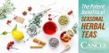 The Potent Benefits of Seasonal Herbal Teas