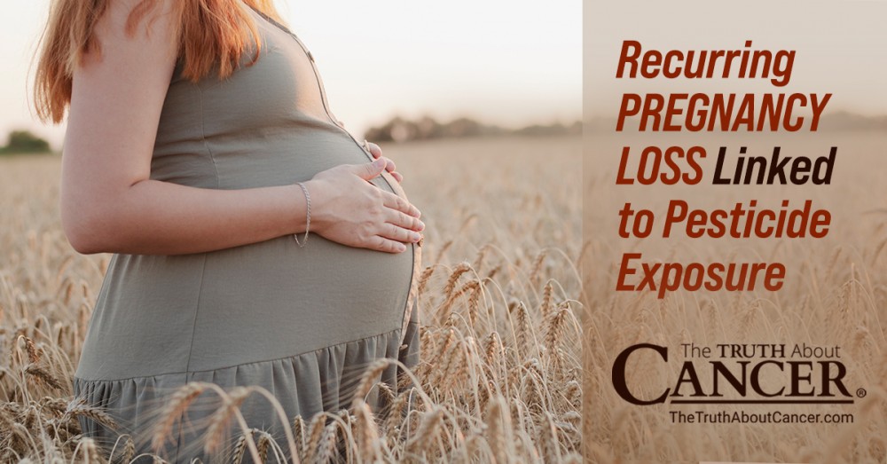 Recurring Pregnancy Loss Linked to Pesticide Exposure