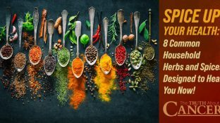 Spice Up Your Health: 8 Common Household Herbs and Spices Designed to Heal You Now!