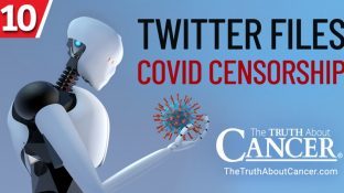 What We’ve Learned from the Twitter Files | Part X - COVID Censorship