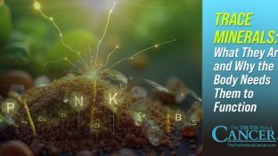 Trace Minerals: What They Are and Why the Body Needs Them to Function