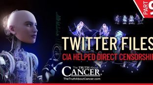 What We’ve Learned from the Twitter Files | Part IX - CIA PsyOps