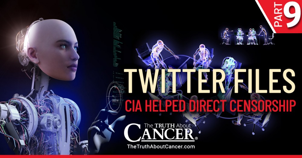 What We’ve Learned from the Twitter Files | Part IX - CIA PsyOps