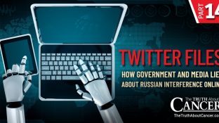 Twitter Files | Part XIV - The Truth About Russiagate