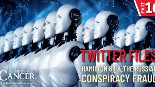 Twitter Files | Part XVI - Hamilton 68 and the Russian Conspiracy Fraud