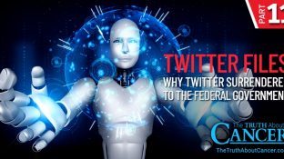 Twitter Files | Part XI - Why Twitter Surrendered to the Federal Government