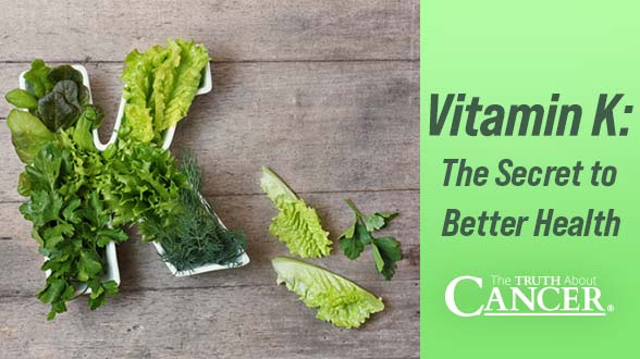 Is Vitamin K the Key to Long-Lasting Health?