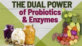 Sacred Synergy: The Dual Power of Probiotics and Enzymes