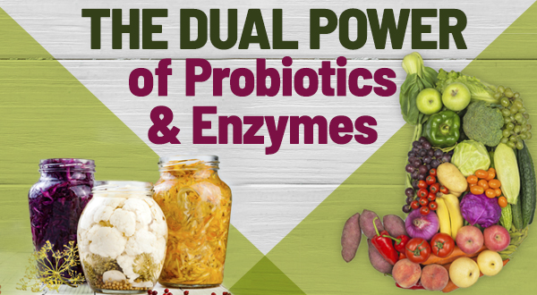 the power of probiotics and enzymes
