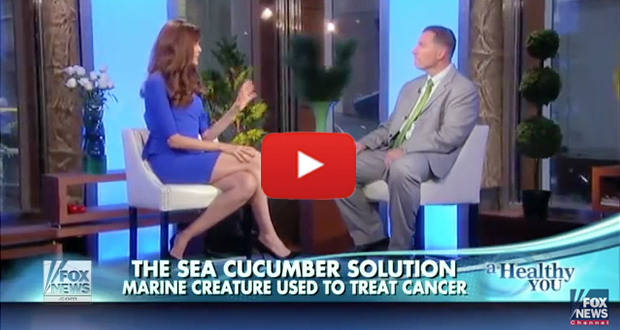 Is the Sea Cucumber the Next Miracle Cure for Cancer?