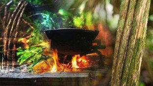 What is Ayahuasca and Is It an Effective Treatment for Cancer? What is Ayahuasca and Is It an Effective Treatment for Cancer?