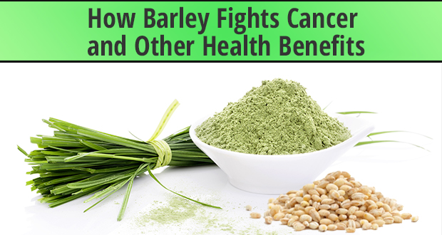 barley health benefits for cancer