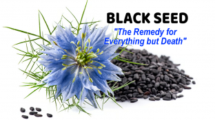 Black Seed - "The Remedy for Everything but Death" Black Seed - "The Remedy for Everything but Death"
