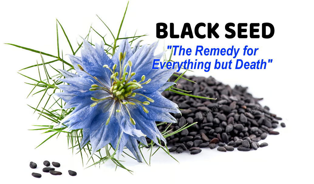 Black Seed - "The Remedy for Everything but Death" Black Seed - "The Remedy for Everything but Death"