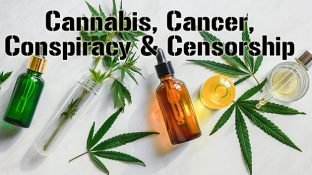 Cannabis & Cancer ... Censorship & Conspiracy
