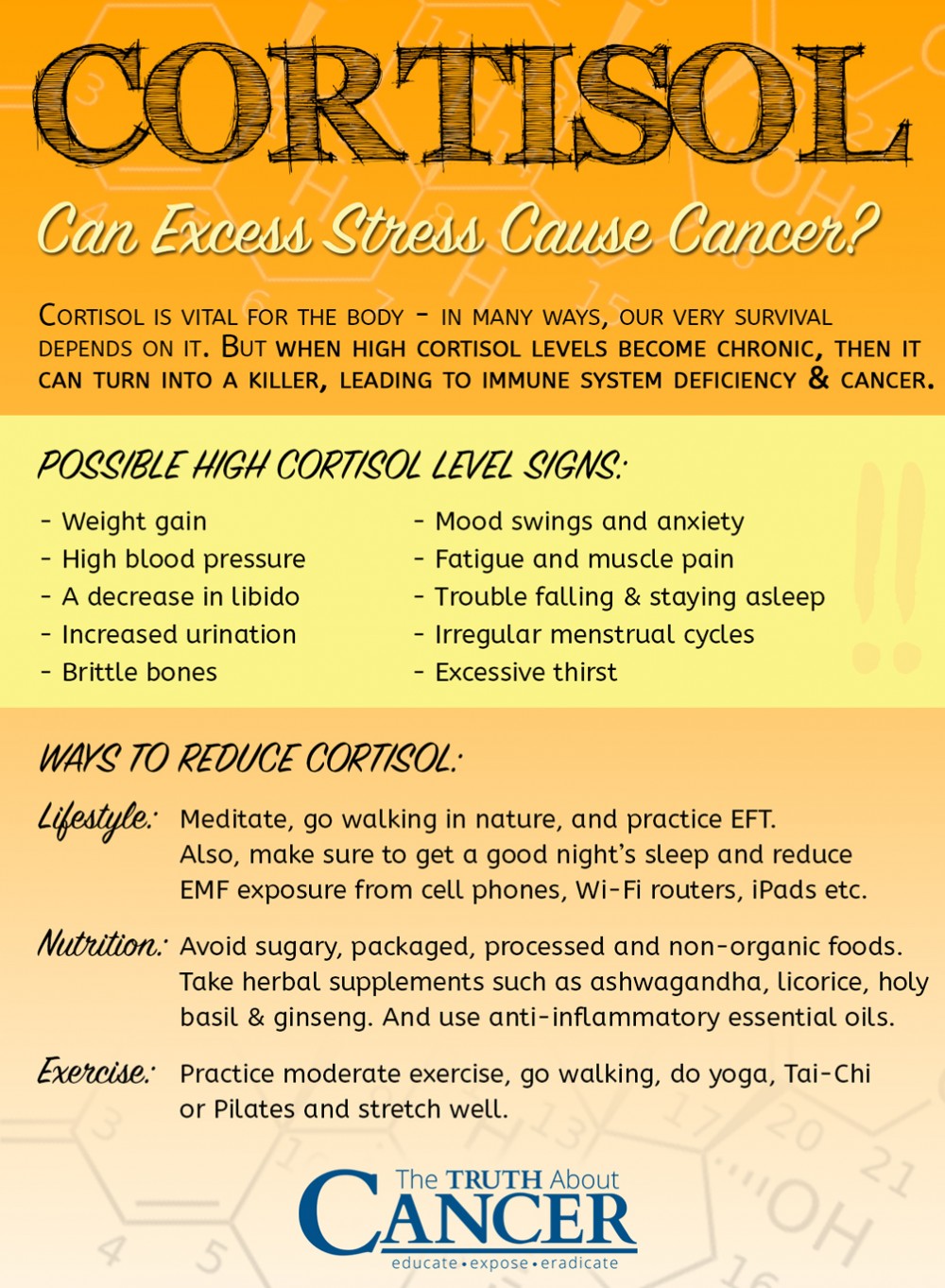 cortisol-stress-breast-cancer-2