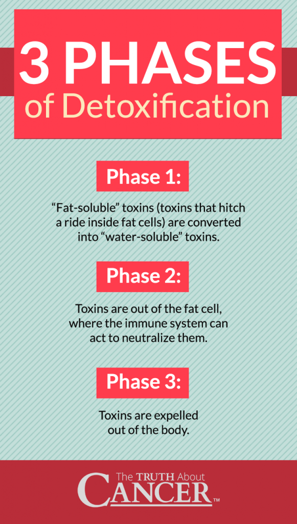 detox-for-weight-loss-Infographic2