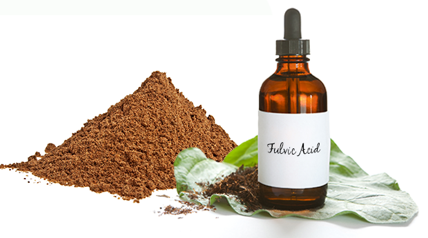 Discover Why Fulvic Acid is So Good for Your Gut, Brain & Skin