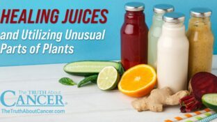Healing Juices and Utilizing Unusual Parts of Plants Healing Juices and Utilizing Unusual Parts of Plants