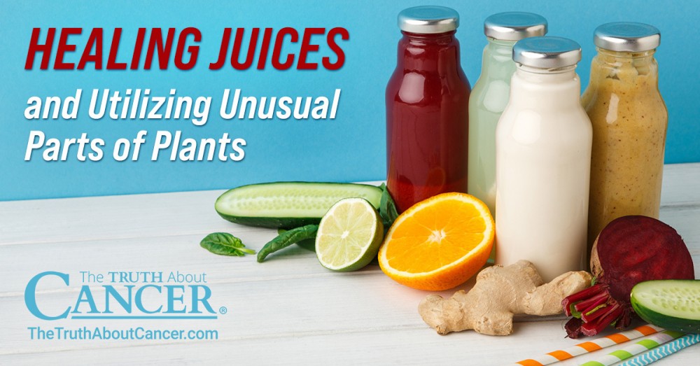 Healing Juices and Utilizing Unusual Parts of Plants