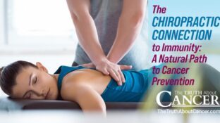 The Chiropractic Connection to Immunity: A Natural Path to Cancer Prevention