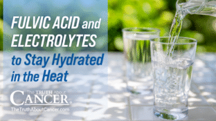 Fulvic Acid and Electrolytes to Stay Hydrated in the Heat