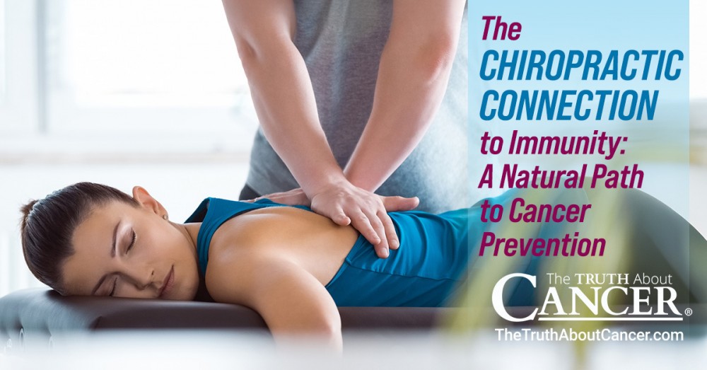 The Chiropractic Connection to Immunity: A Natural Path to Cancer Prevention