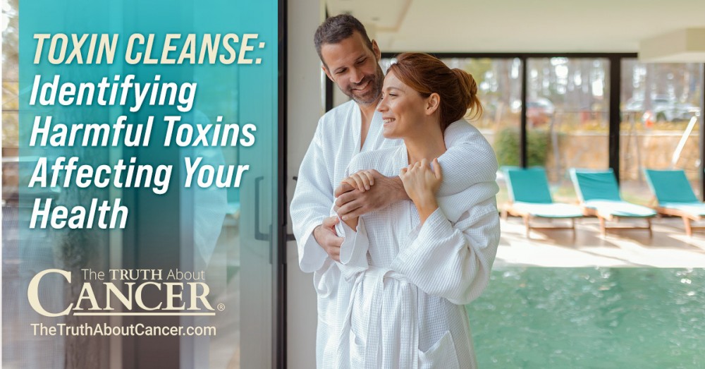 Toxin Cleanse: Identifying Harmful Toxins Affecting Your Health
