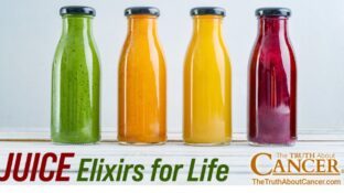 Juice Elixirs for Life Juice Elixirs for Life