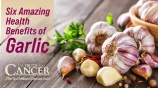 Six Amazing Health Benefits of Garlic