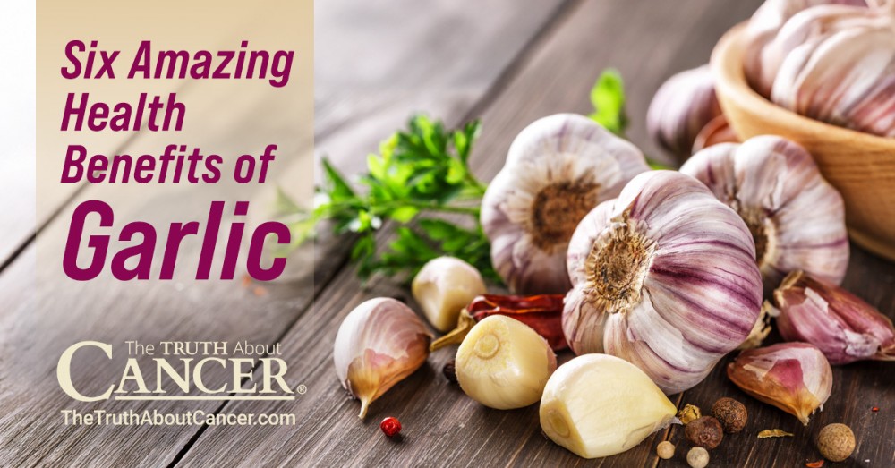 Six Amazing Health Benefits of Garlic