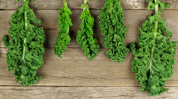 The Health Benefits of Kale: 9 Reasons to Love this Leafy Green Superfood