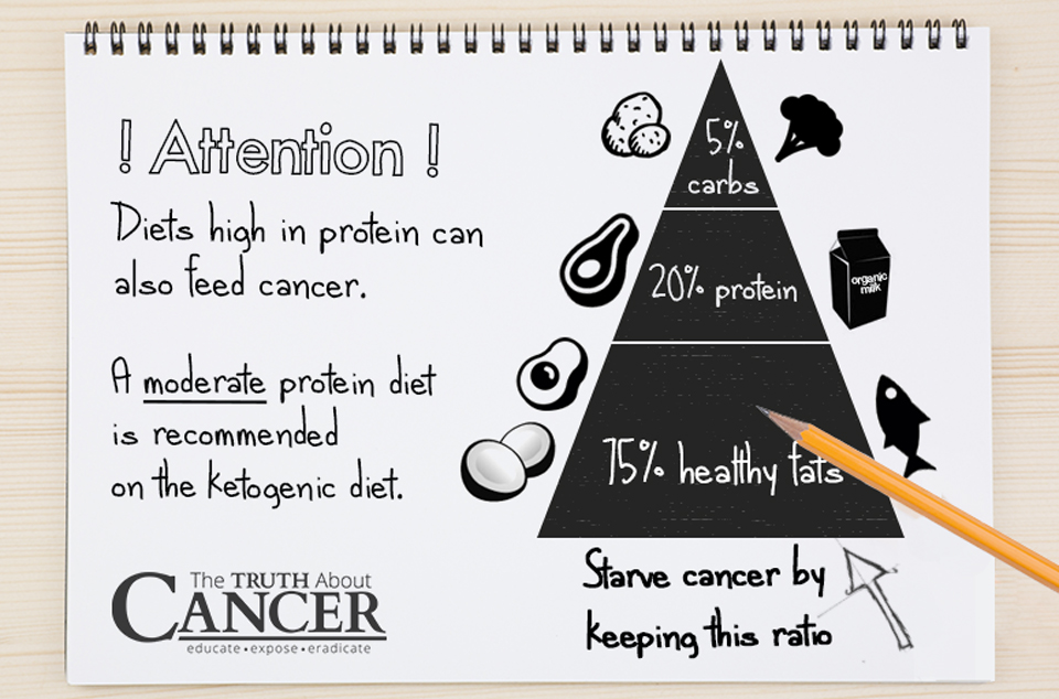 what-to-eat-ketogenic-diet-for-cancer