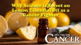 Why Science is Sweet on Lemon Essential Oil as a Cancer Fighter