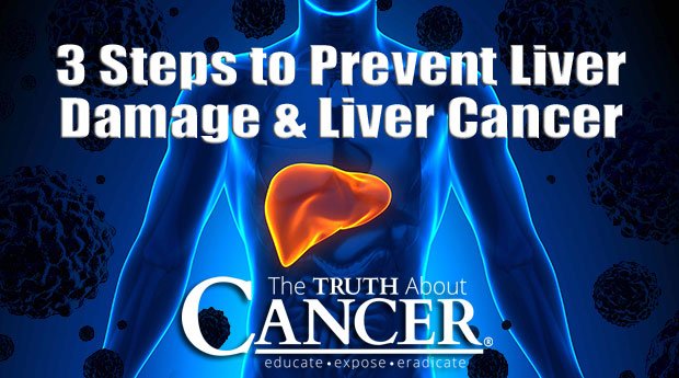 3 Steps to Prevent Liver Damage and Cancer of the Liver