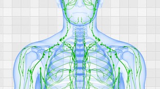 4 Ways to Keep Your Lymphatic System Healthy