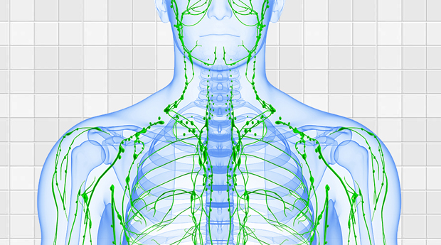 lymphatic-system-activation