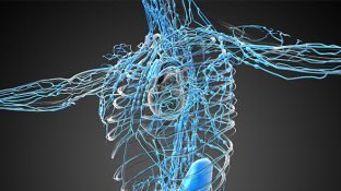 10 Ways to Improve Your Lymphatic System Function